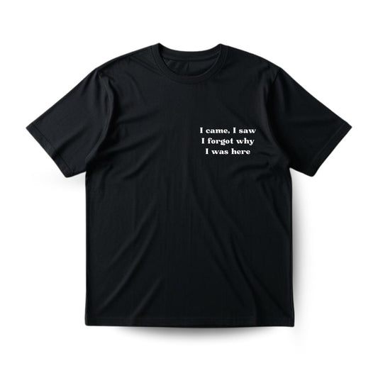 Why was I here Regular T-shirt